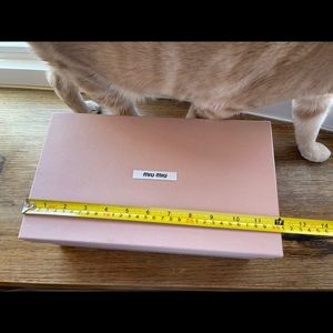 MiuMiu shoe box